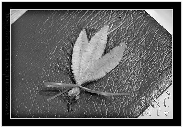 11_17jt-007 11_17jt-007